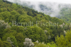 Spessart - Zum Vergroessern klicken!